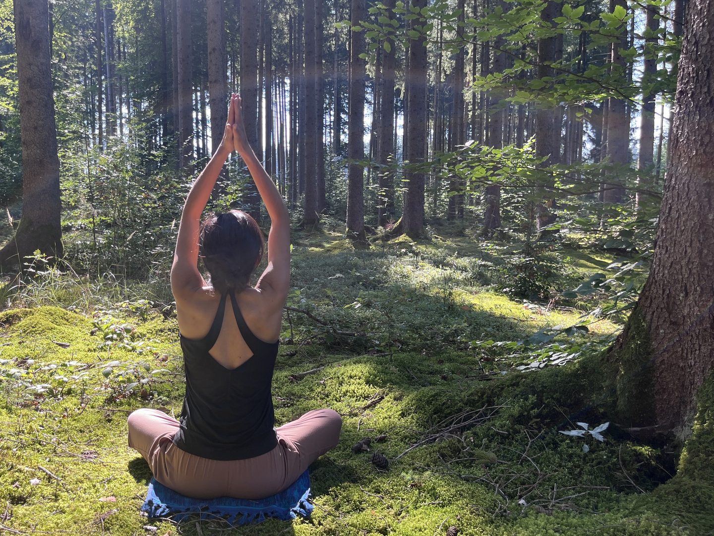 Pratique assise en forêt, les bras levés vers la lumière entre les arbres.